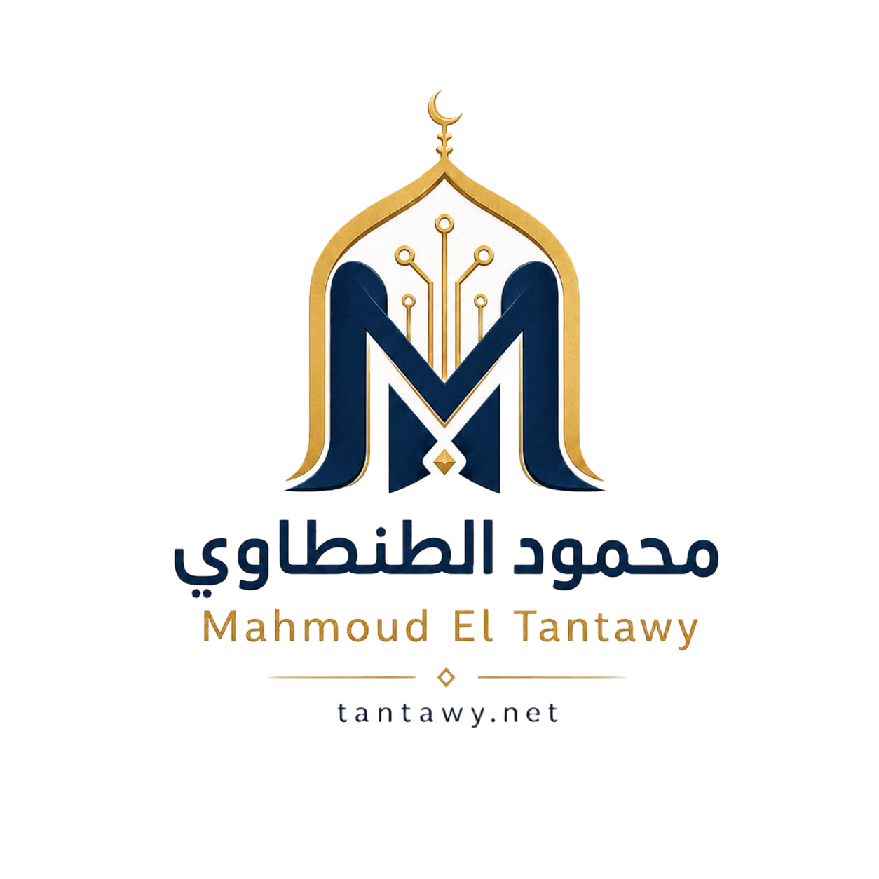 محمود الطنطاوي